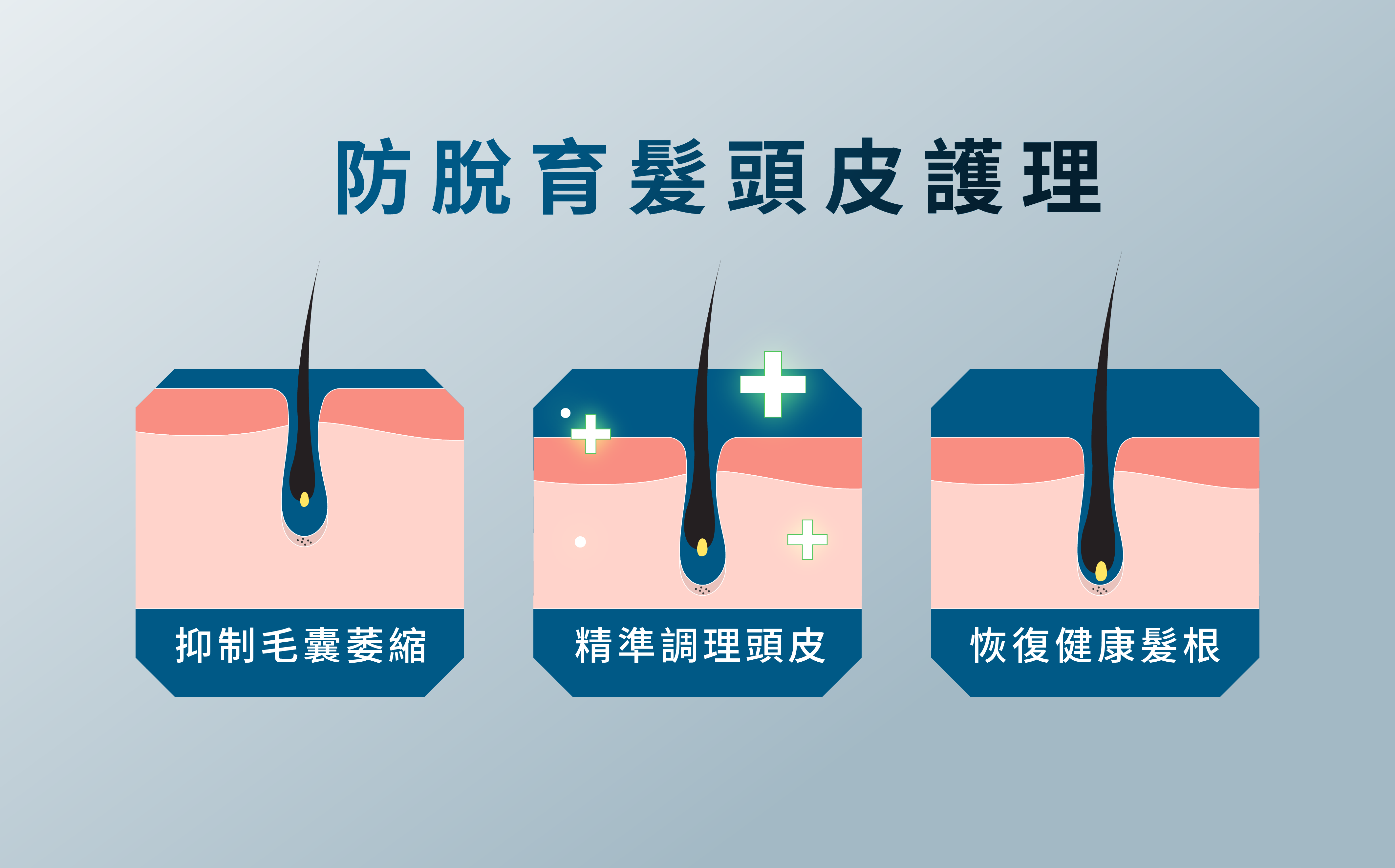 防脫育髮頭皮護理